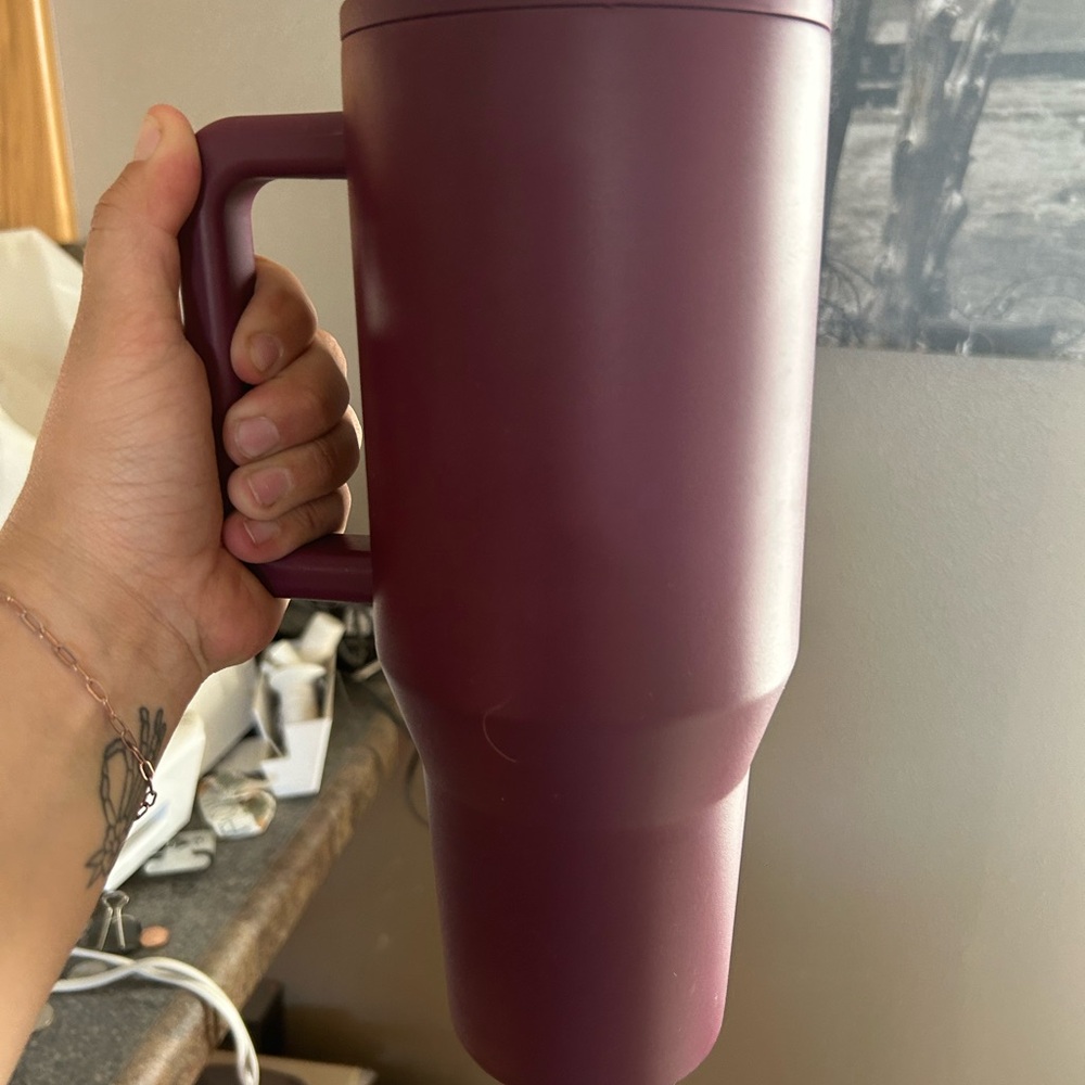Cranberry Hydrojug Traveler